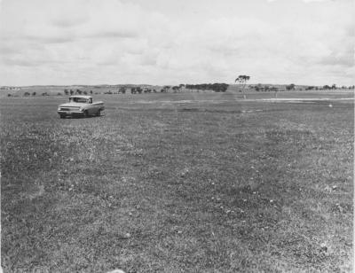 Property of HS (Harry) Whittington, 'Springhill', Brookton, Western Australia, Australia - 107