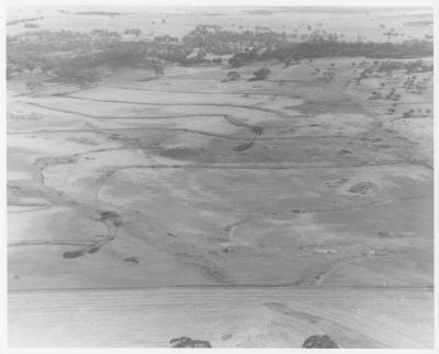 Property of HS (Harry) Whittington, 'Springhill', Brookton, Western Australia, Australia - 109