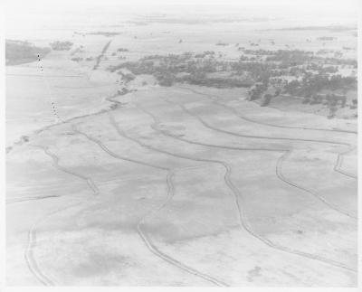 Property of HS (Harry) Whittington, 'Springhill', Brookton, Western Australia, Australia - 117