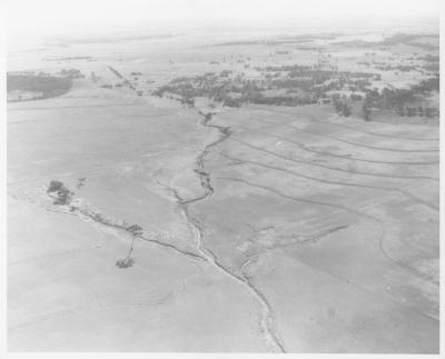 Property of HS (Harry) Whittington, 'Springhill', Brookton, Western Australia, Australia - 118