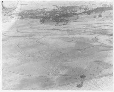 Property of HS (Harry) Whittington, 'Springhill', Brookton, Western Australia, Australia - 121
