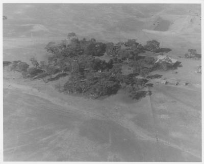 Property of HS (Harry) Whittington, 'Allendale', Brookton, Western Australia, Australia - 009