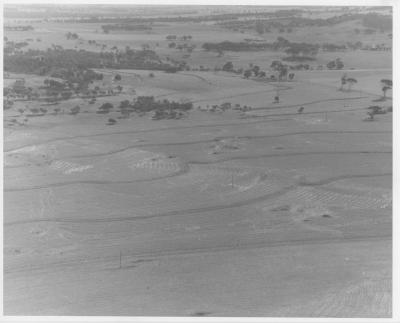 Property of HS (Harry) Whittington, 'Springhill', Brookton, Western Australia, Australia - 124