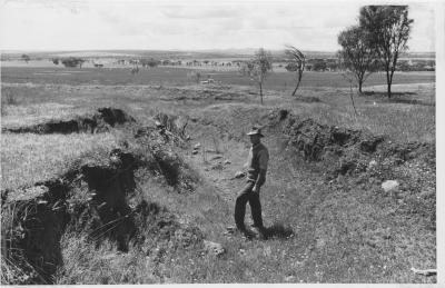 Property of HS (Harry) Whittington, 'Springhill', Brookton, Western Australia, Australia - 126