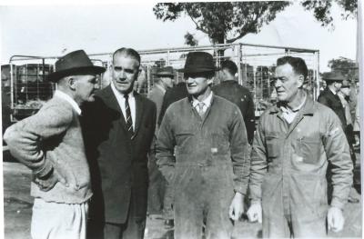 Black and White photograph Kellerberrin 1st pig market