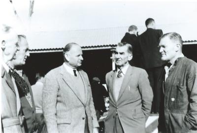 Black and White photograph Kellerberrin 1st pig market