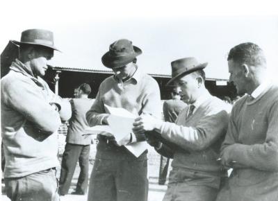 Black and White photograph Kellerberrin 1st pig market