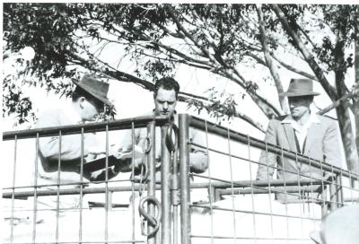 Black and White photograph Kellerberrin 1st pig market