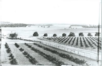 Black and White photograph Mooranoppin