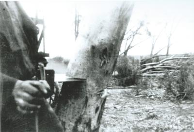 Black and White photograph Electweld Mather patented circular saw cutting timber for charcoal