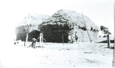 Black and White photograph.  Gunn's haystack - Mount Caroline