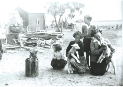 Black and White photograph Hampton Farm Mavis, David and Diane Forsyth.  Feeding Lambs