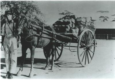 Black and White photograph.  Percy Punch delivering bread.  Percy Punch was the baker in Kellerberrin 1920 - 1952