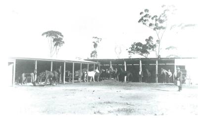 Black and White photograph.  Kellerberrin Trotting Stalls