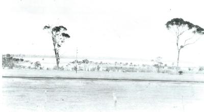 Black and White photograph.  Baandee Lake