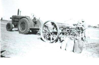 Black and White photograph.  J H Leake loading combine with Superphos