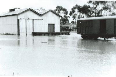 Black and White photograph.  Kellerberrin Railway Goods Shed - Leake St during 1963 floods