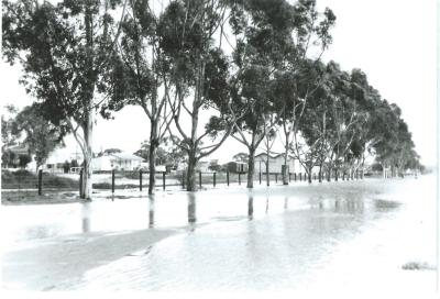 Black and White photograph.  Kellerberrin Railway Station and Goods shed during 1963 floods.  Photo taken from Leake St.