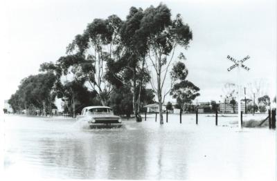 Black and White photograph.  Car driving  along Leake St near Hinckley Street corner and West Railway Crossing during 1963 floods