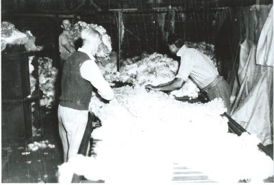 Black and White photograph.  Men working at Kellerberrin Depot Shearing Shed