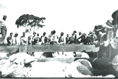 Black and White photograph.  Opening of Kellerberrin Sale Yards - Elders Sale