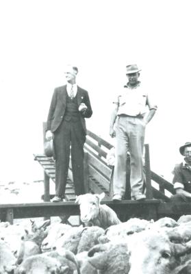 Black and White photograph.  Official Opening of Kellerberrin Sale Yards.  Fred Nicholls on rail