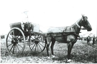 Black and White photograph.  Ossie  Chambers Tradesman's Turnout. Kellerberrin Show 1920