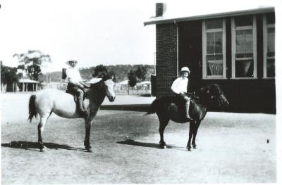 Black and White photograph of 2 school  ponies being ridden by 2 boys outside original school classrooms