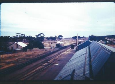 Colour photograph of Doodlakine looking west