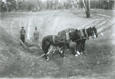 Black and White photograph.  W N Laird Dam Sinking with Horse Team
