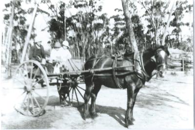Black and White photograph.  Man and 2 children on horse and sulky