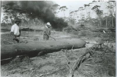 Black and White photograph.  Clearing and burning at W N Laird property Kodj Kodjin