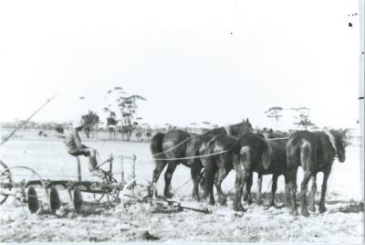 Black and White photograph.  Disc plowing at W N Laird property at Kodj Kodjin