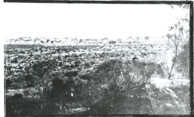 Black and White photograph View of Kellerberrin looking West from Kellerberrin Hill