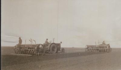 Black and White photograph. Seeding possibly Bennetts, Daadenning Creek