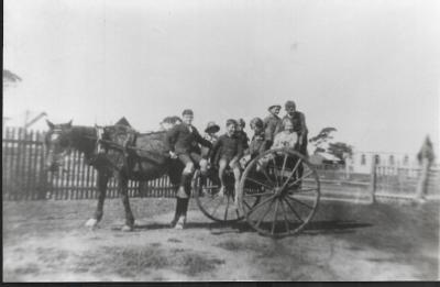 Black and White photograph.  Horse and Sulky with McWhirter family - going to school?