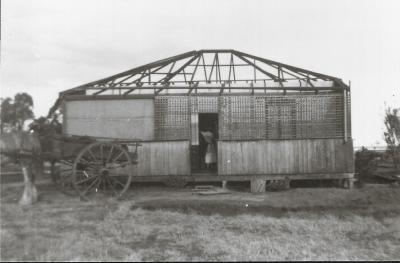 Black and White photograph.  McCabe's property wind-damaged house.  Property situated to the South West of town