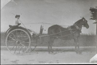 Black and white photograph.  Unknown Woman with Horse and Buggy