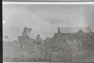 Black and White photograph.  McLelland family with horse and sulky.