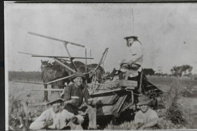 Black and White photograph.  McLelland family working in the paddock with horse team