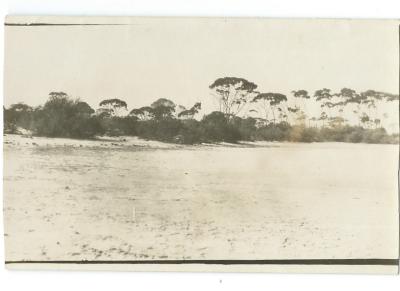 Black and White photograph of Salt Lakes, Kellerberrin 1925