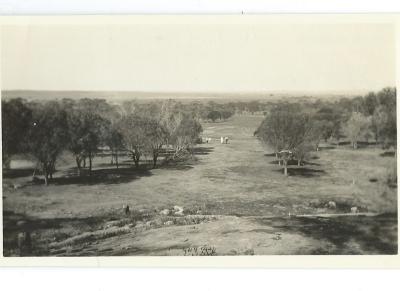 Black and White Photograph of Salt Lakes Kellerberrin 1925