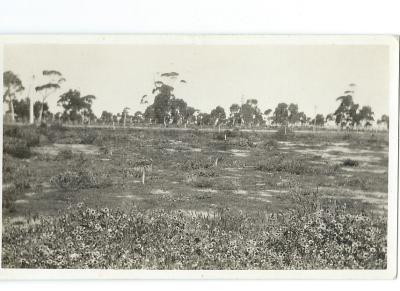 Black and White Photograph - Croquet Courts Doodlakine, later site of Buffs