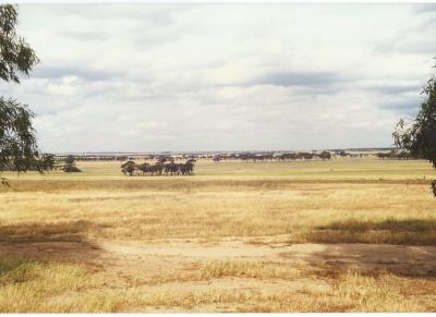 Colour Photograph Farmland - Daadenning Creek