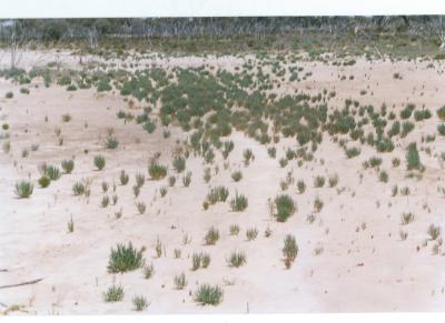 Colour Photograph Salt Land