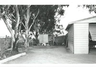 Black and White Photograph Unknown Backyard