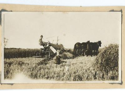 Black and White photograph - 1932 Morrison.  Man with horse team cutting hay.  Small child in foreground