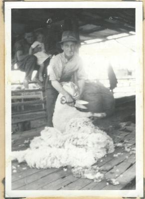Hand Shearing 1935 - Morrison Black and White Photograph
