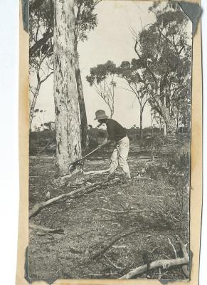 Black and White photograph Clearing the Land.  1928 Morrison Doodlakine