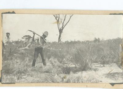 Black and White photograph.  1927 Morrison - Doodlakine.  Clearing the Land